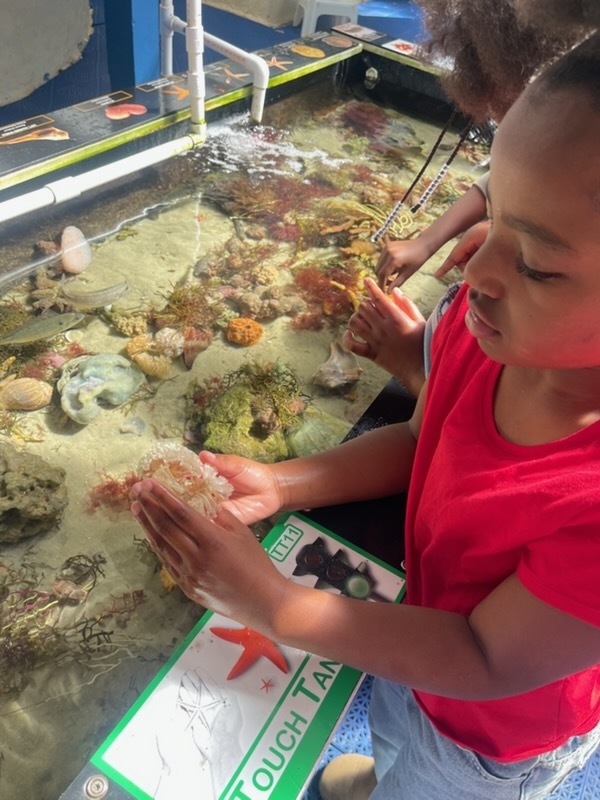 educational experience