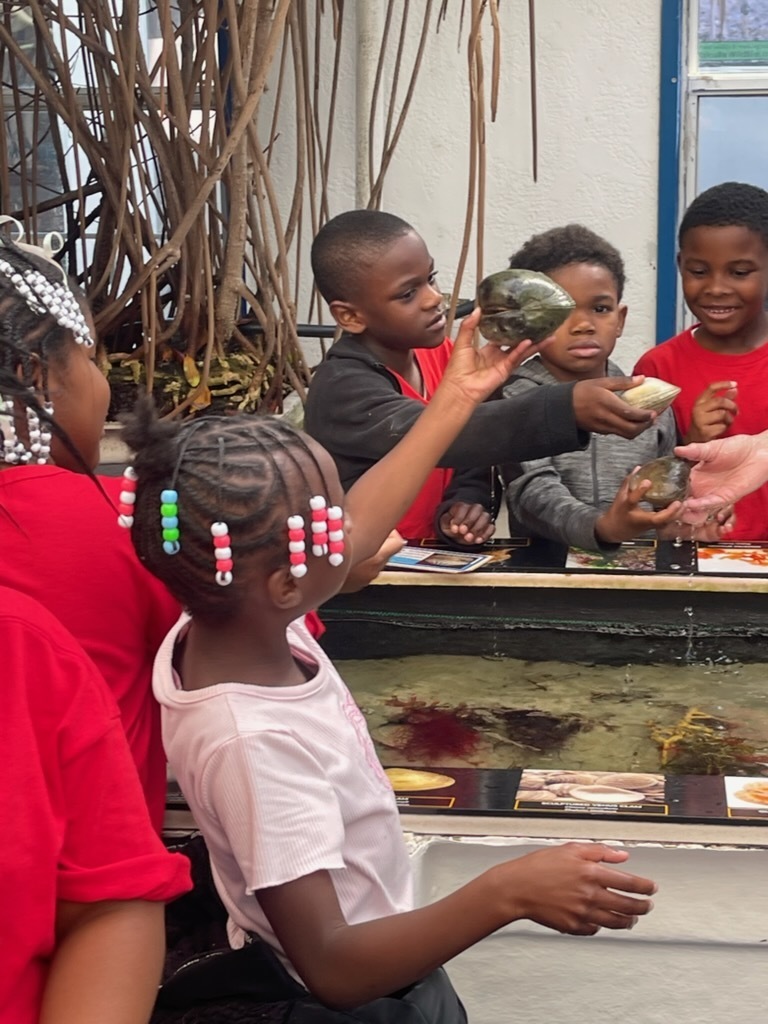 educational experience