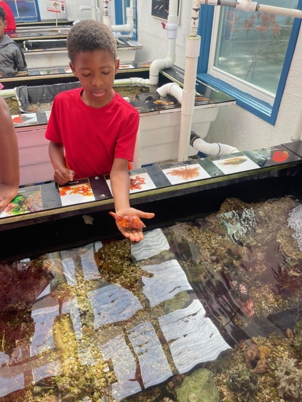 educational experience