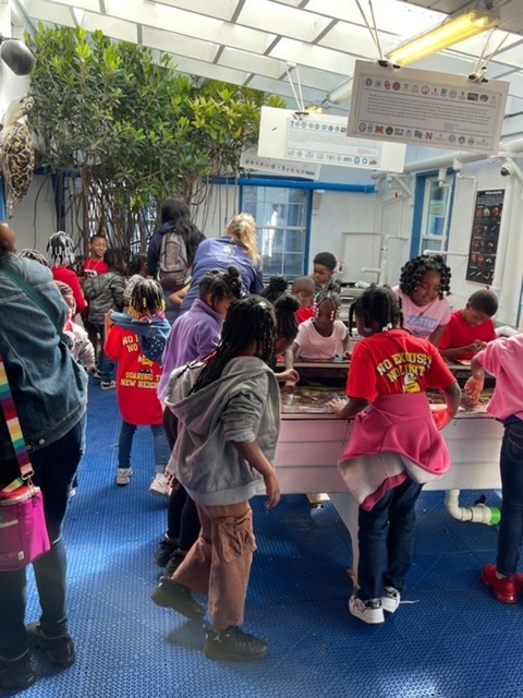 educational experience