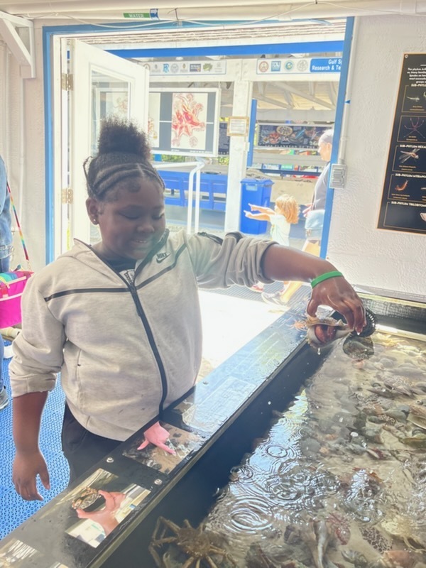 educational experience