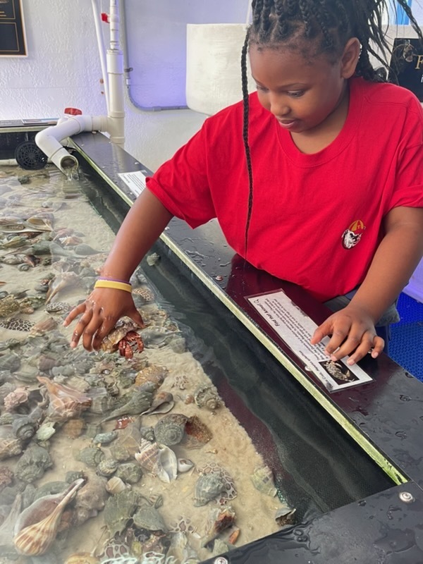 educational experience