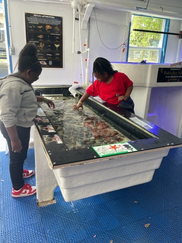 educational experience