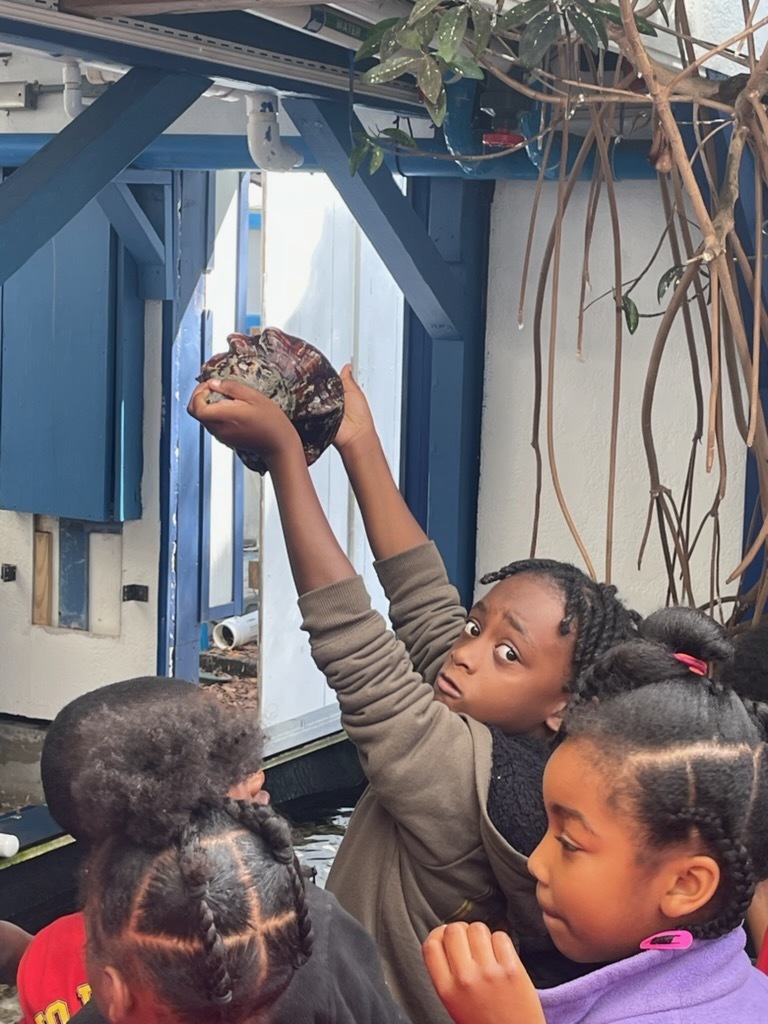 educational experience