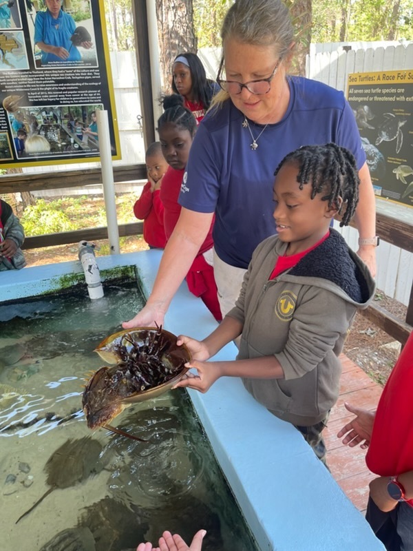 educational experience