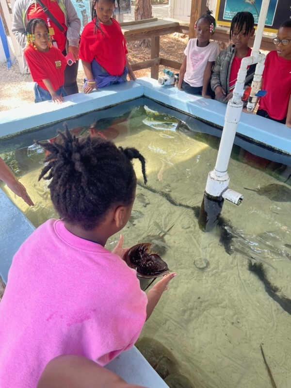 educational experience