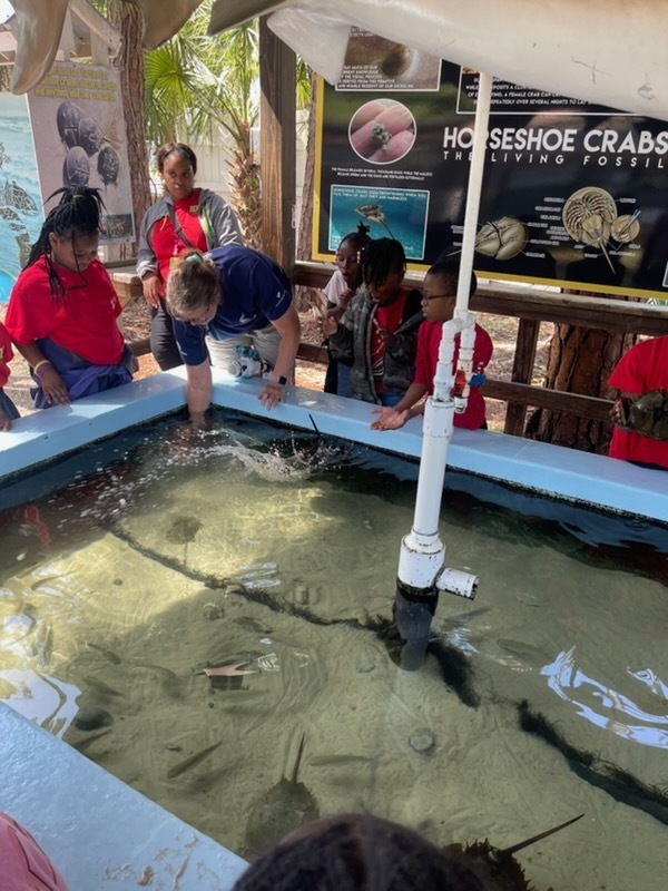 educational experience