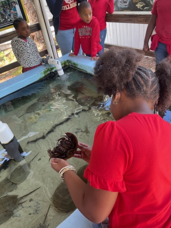 educational experience