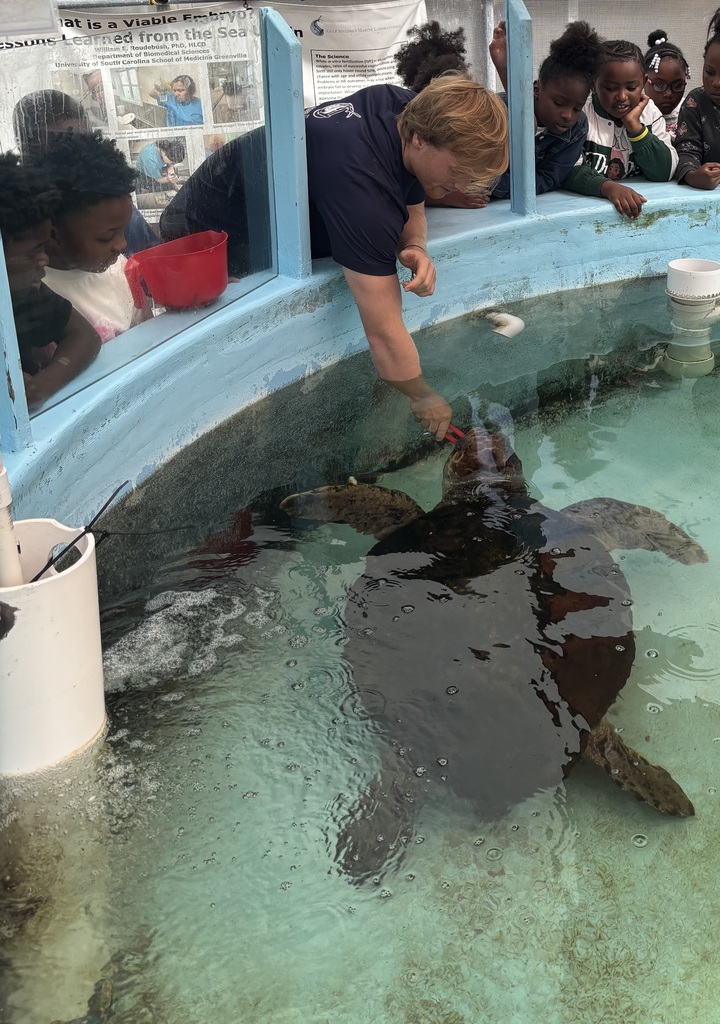 educational experience