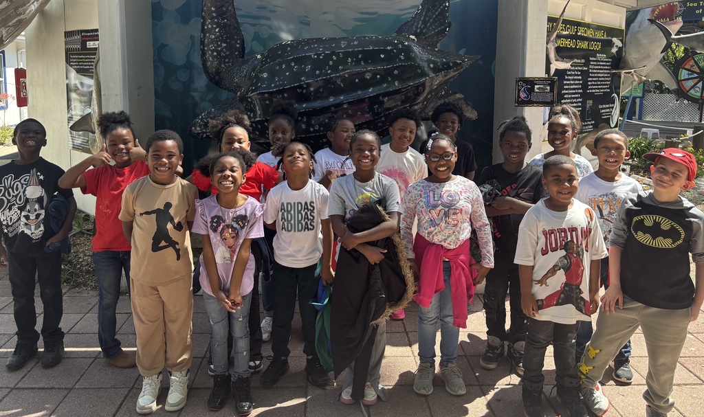 educational experience