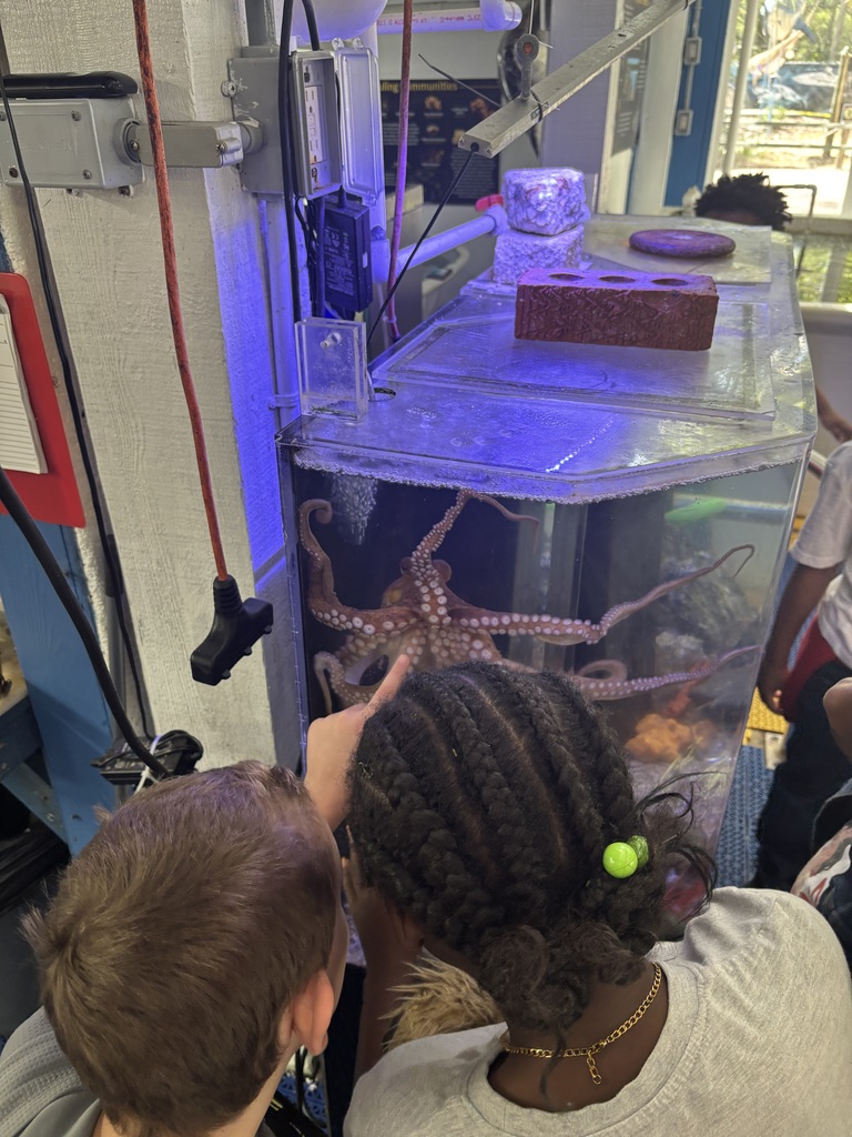 educational experience