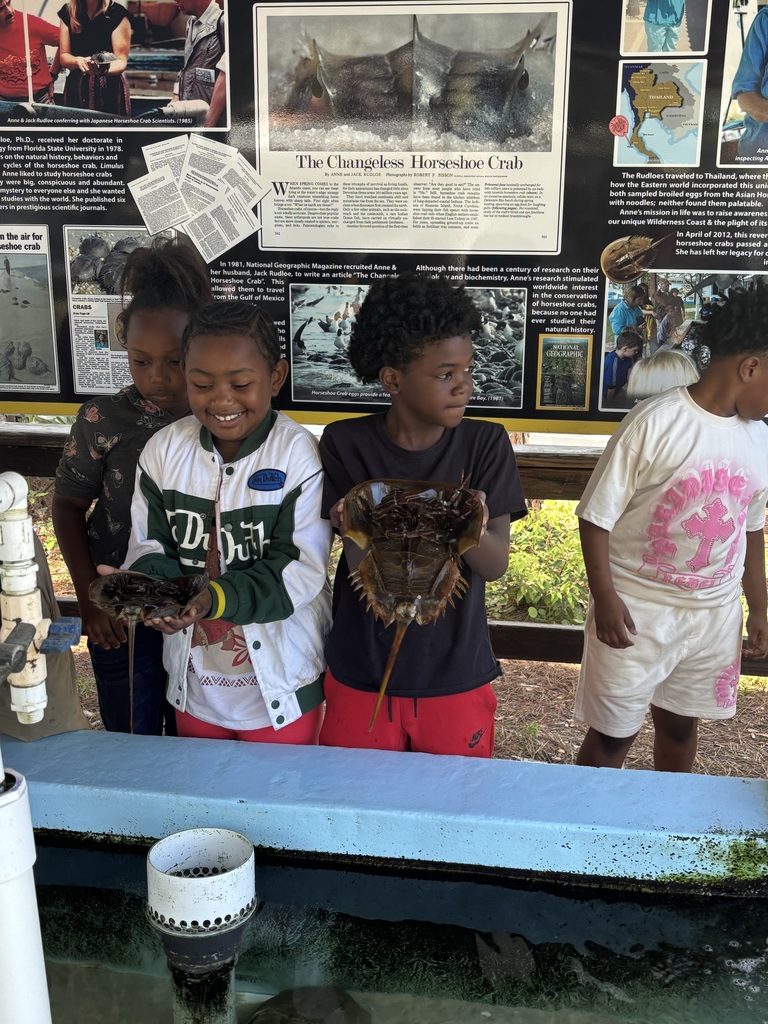 educational experience