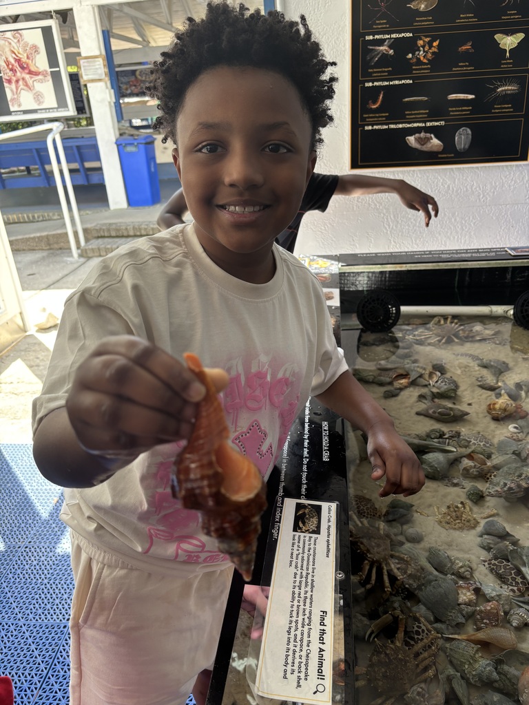 educational experience