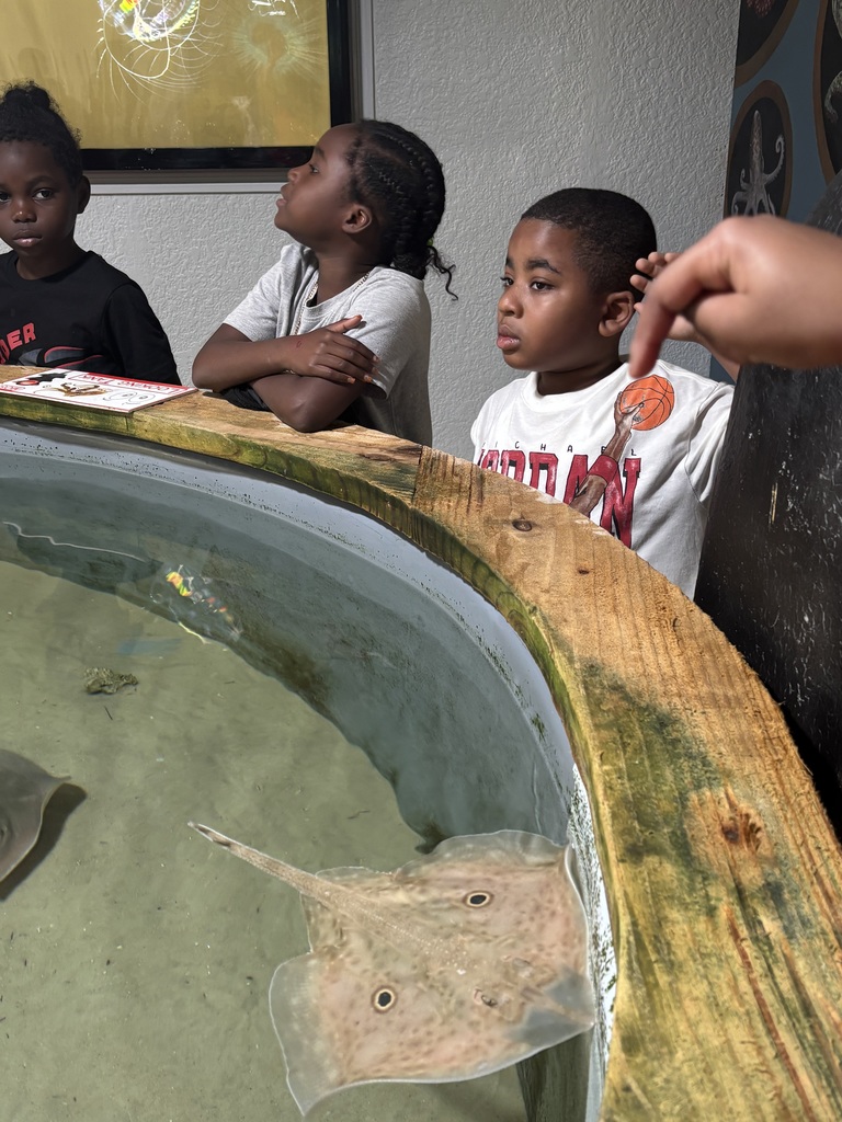 educational experience