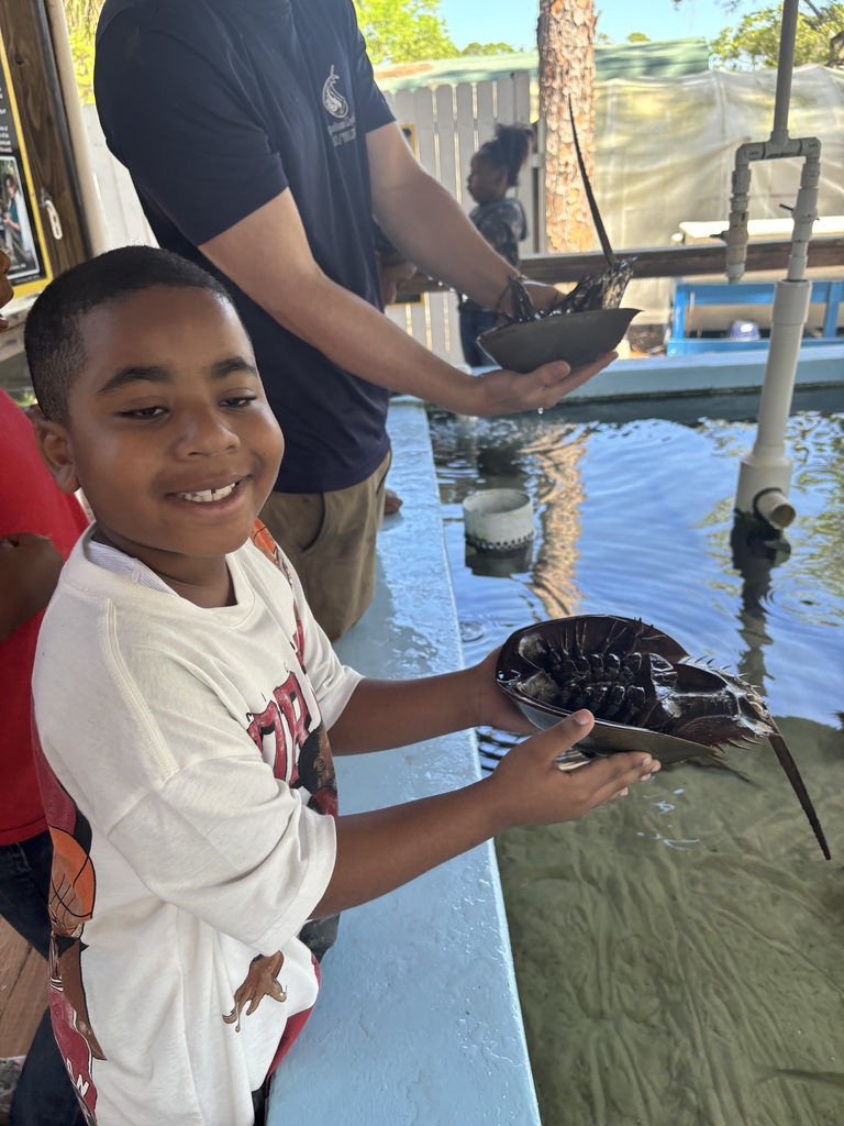 educational experience