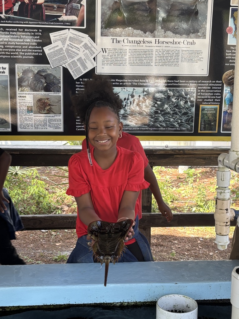 educational experience