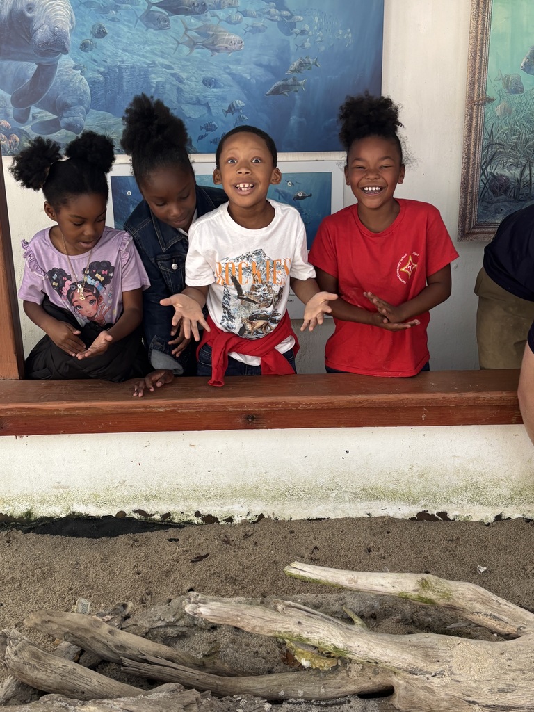 educational experience