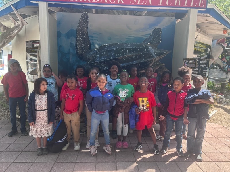 educational experience