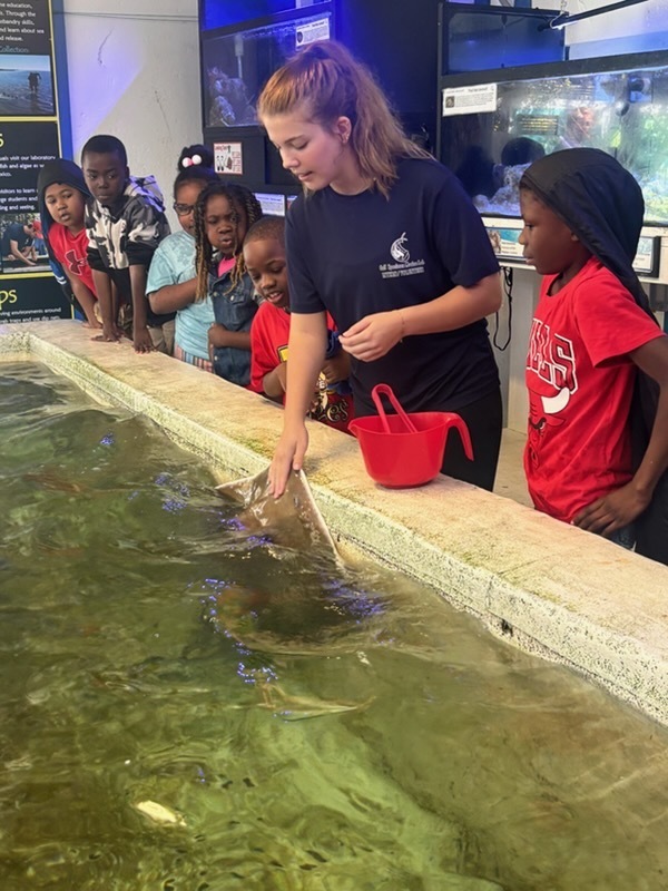 educational experience