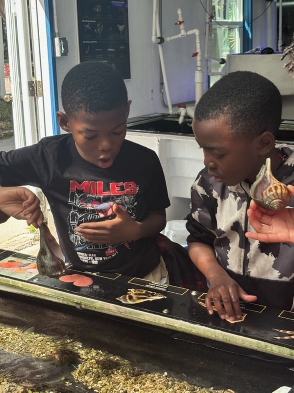 educational experience