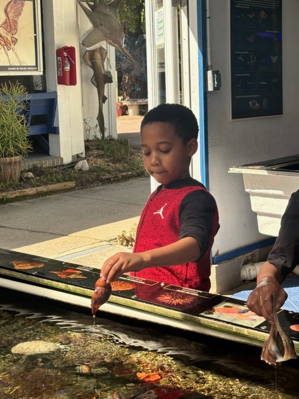 educational experience