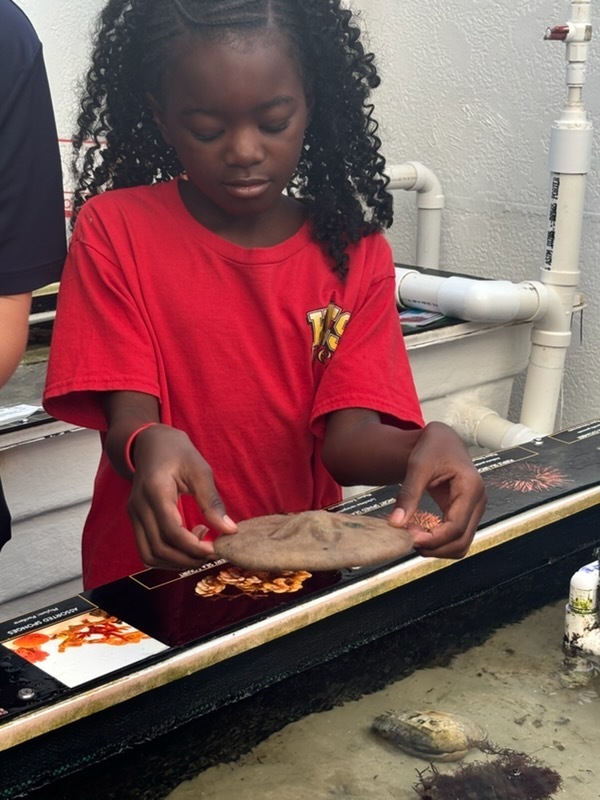 educational experience