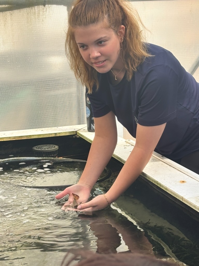 educational experience