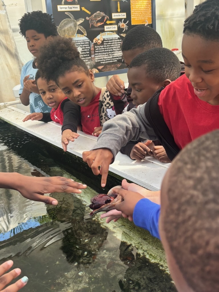 educational experience