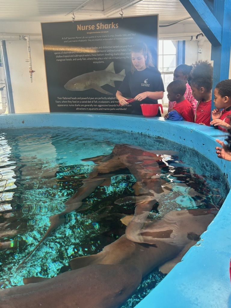 educational experience