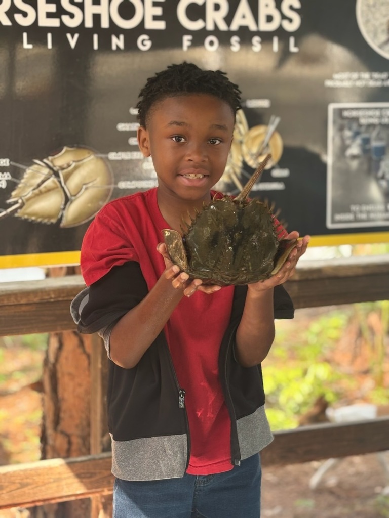 educational experience