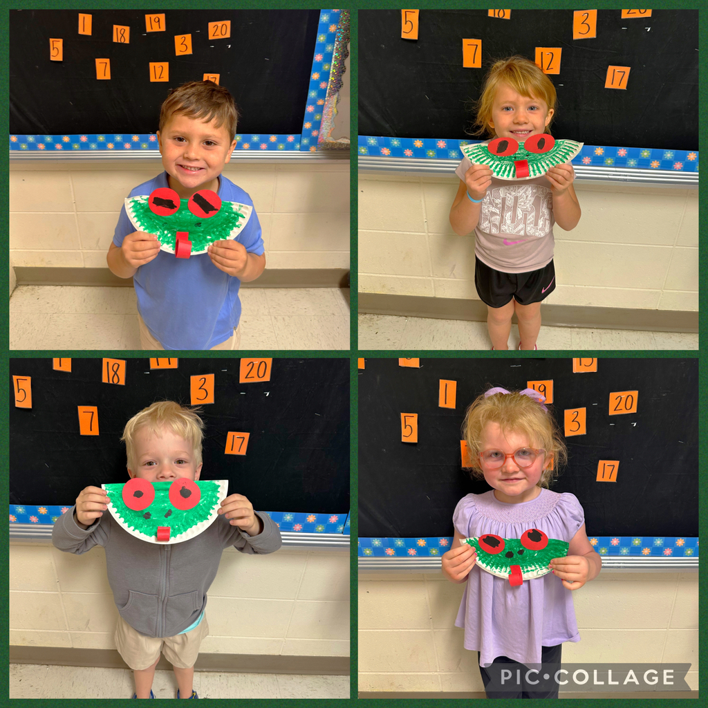 Frogs from the Jungle!