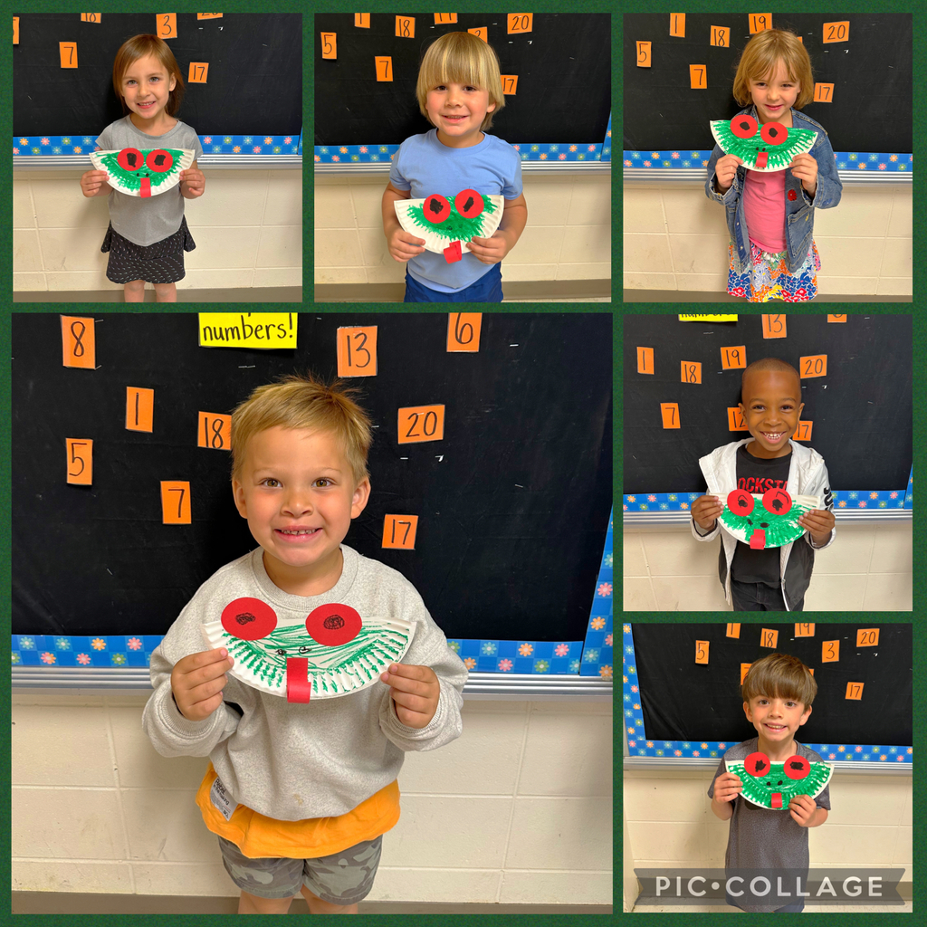 Frogs from the Jungle!