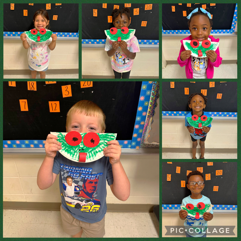 Frogs from the Jungle!