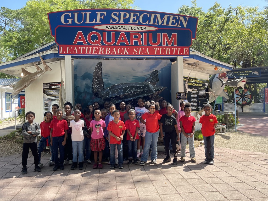 educational experience