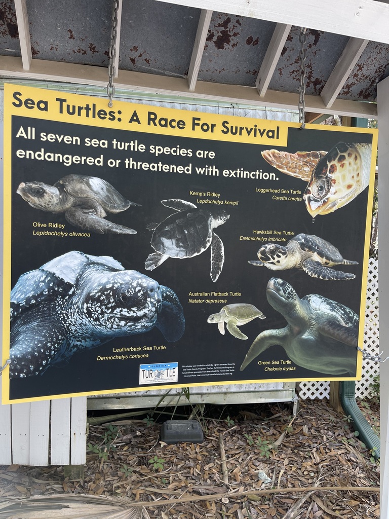 educational experience