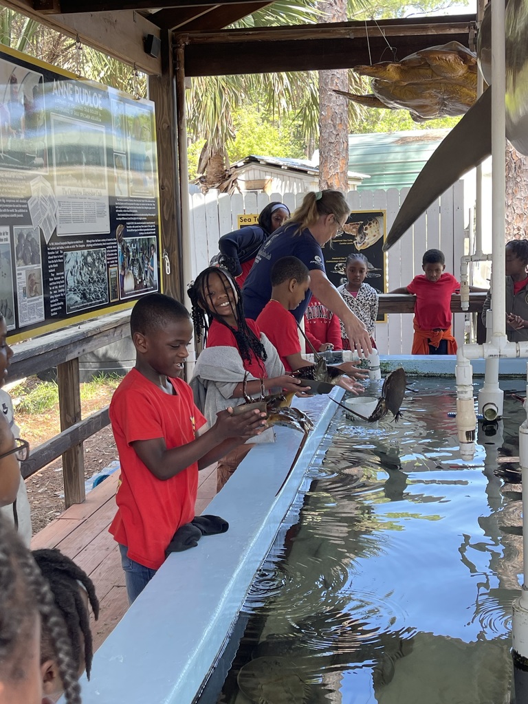 educational experience