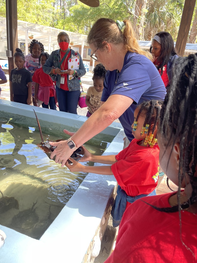 educational experience