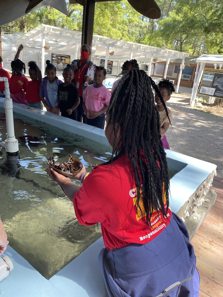 educational experience