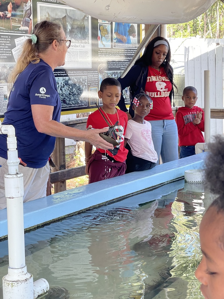 educational experience