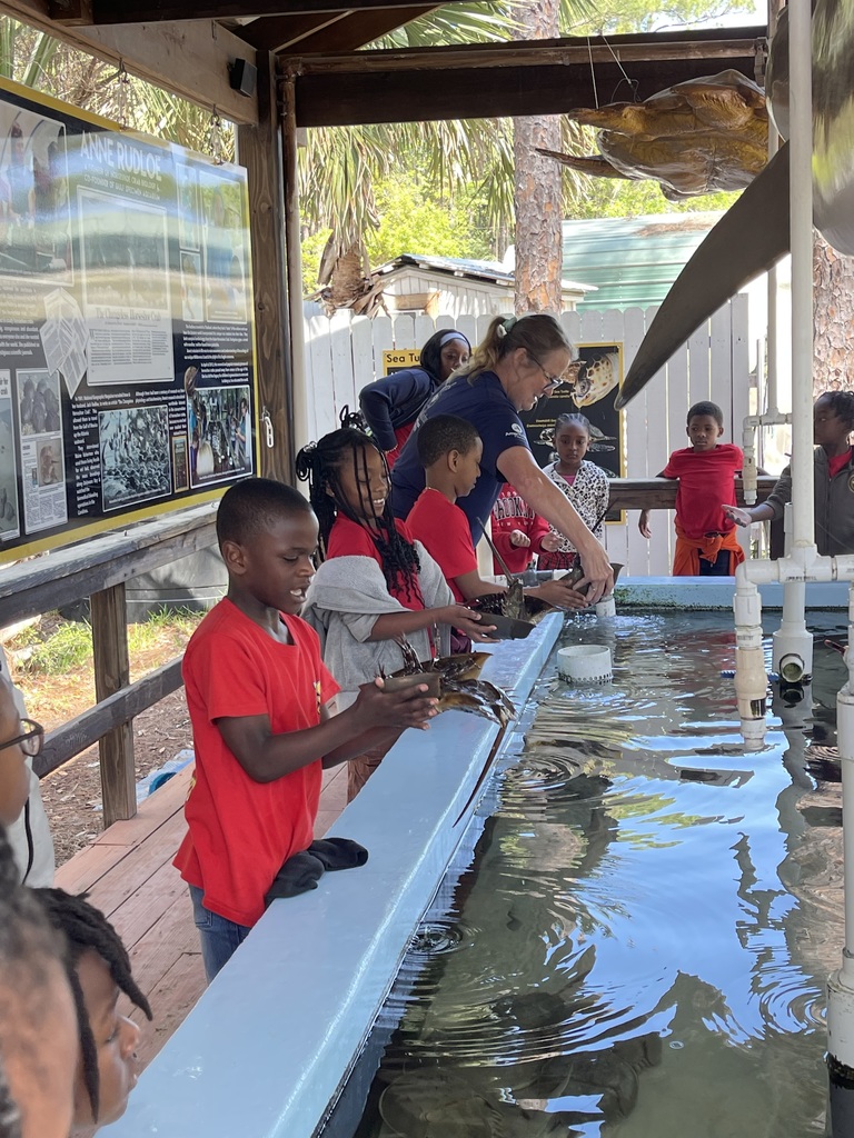 educational experience