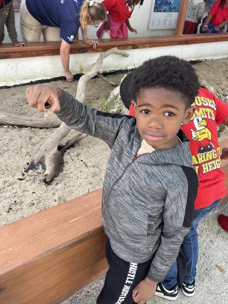 educational experience