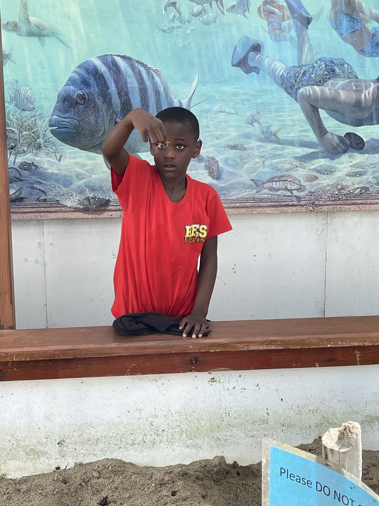 educational experience