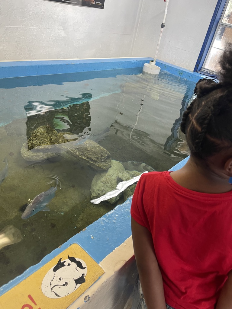 educational experience