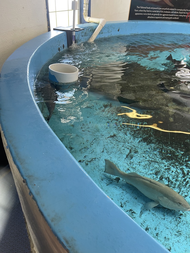 educational experience