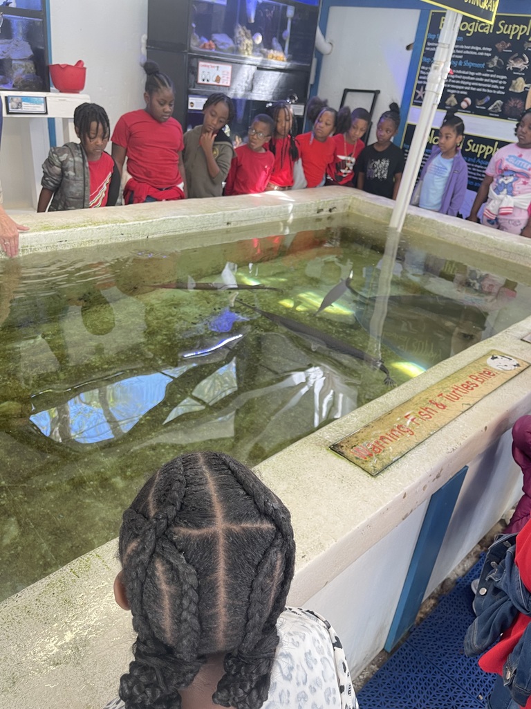 educational experience