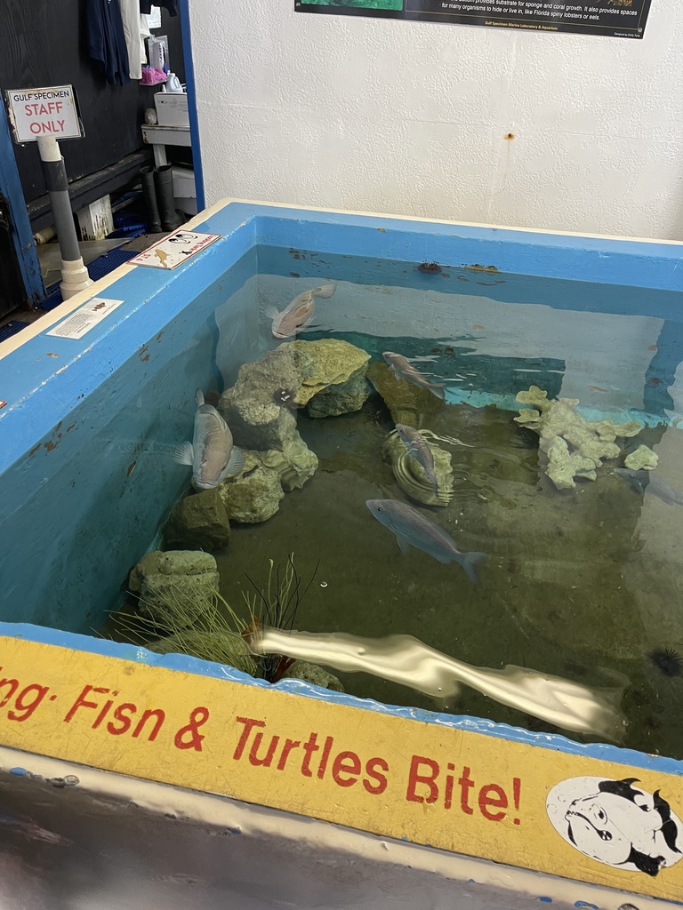 educational experience