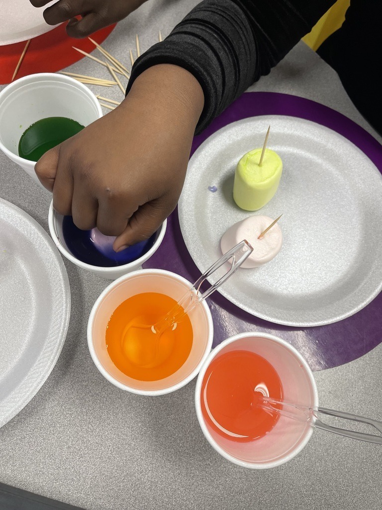 HES Marshmallow STEM 3