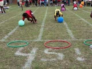 Field Day