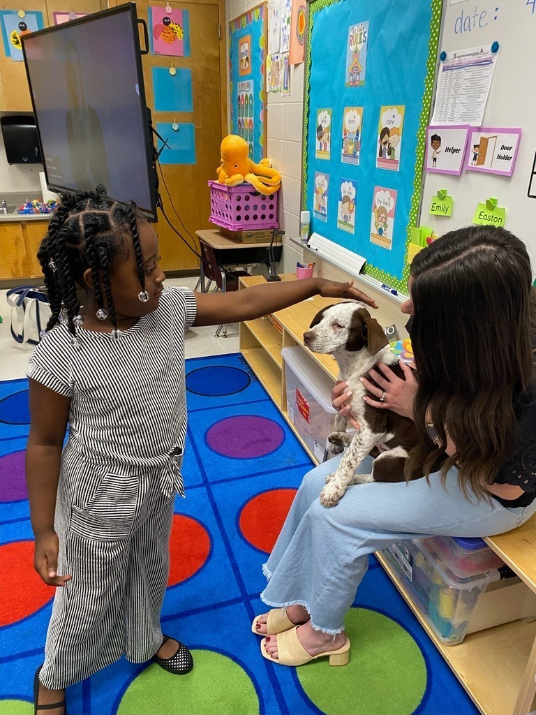 JES Kindergarten backwards ABC (V for Vistor) Tville Humane Society 7