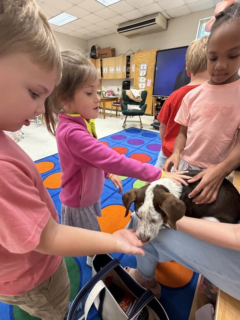 JES Kindergarten backwards ABC (V for Vistor) Tville Humane Society 8